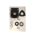 OEM PACCAR KIT-BEARING SERVICE  456267A2X1