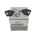OEM INTERNATIONAL CYLINDER LOCK IGN SW W/KEYS 2506721C91 3545609C1