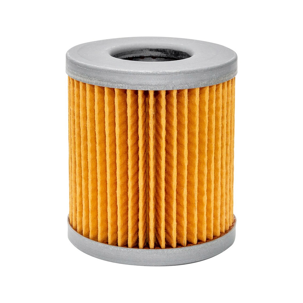 Air Filter Baldwin PA4895