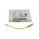 New OEM Genuine Cummins TERMINAL,ELC CNR REPAIR 5572968 3164264