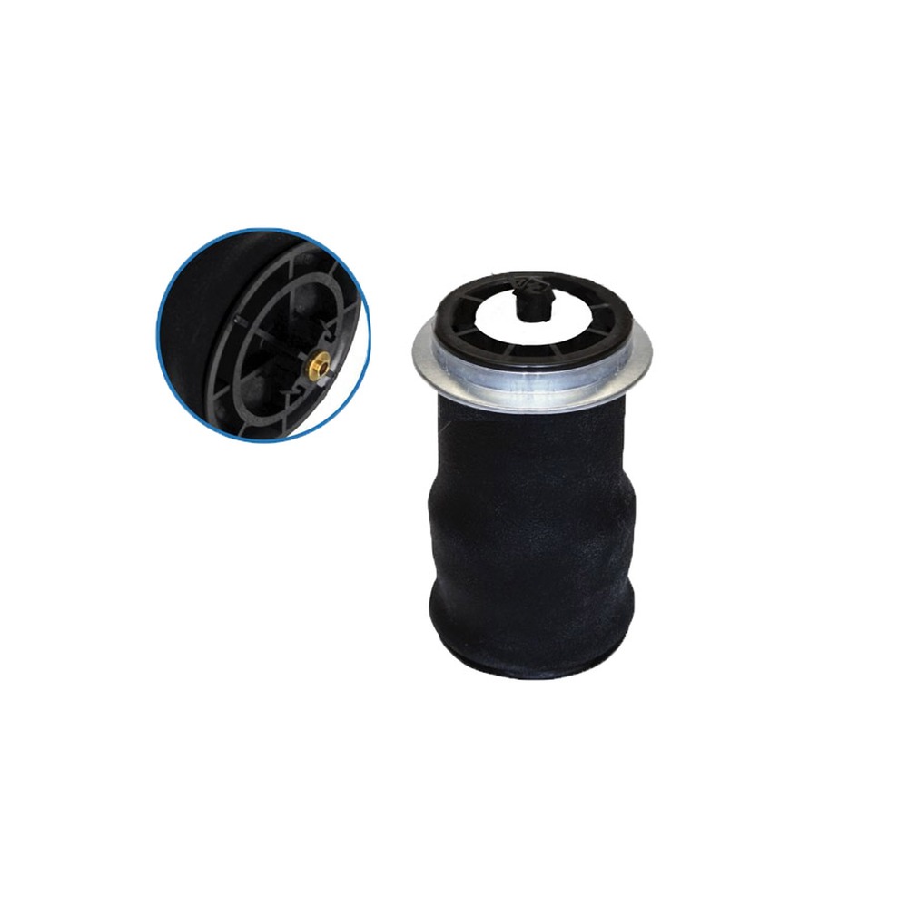 Air Spring Cabin IHC  ABSZ70-683   4050683C2