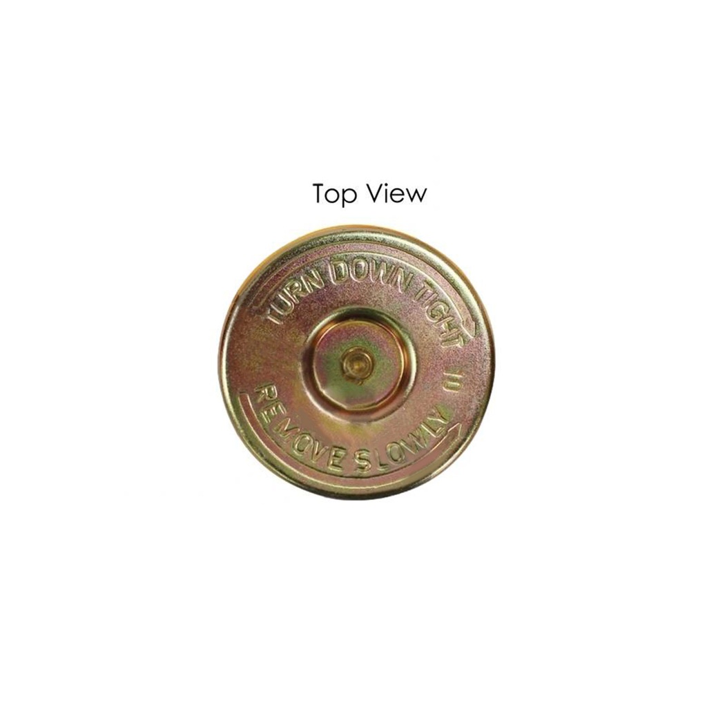 Radiator Cap  572.2019   25005579