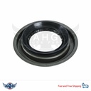 Pinion Seal KGA258 210724 RS-461 A258 113866 73020 3917945