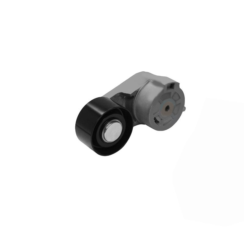 Continental Elite or Dayco Tensioner Assembly  816.49502   814.89485