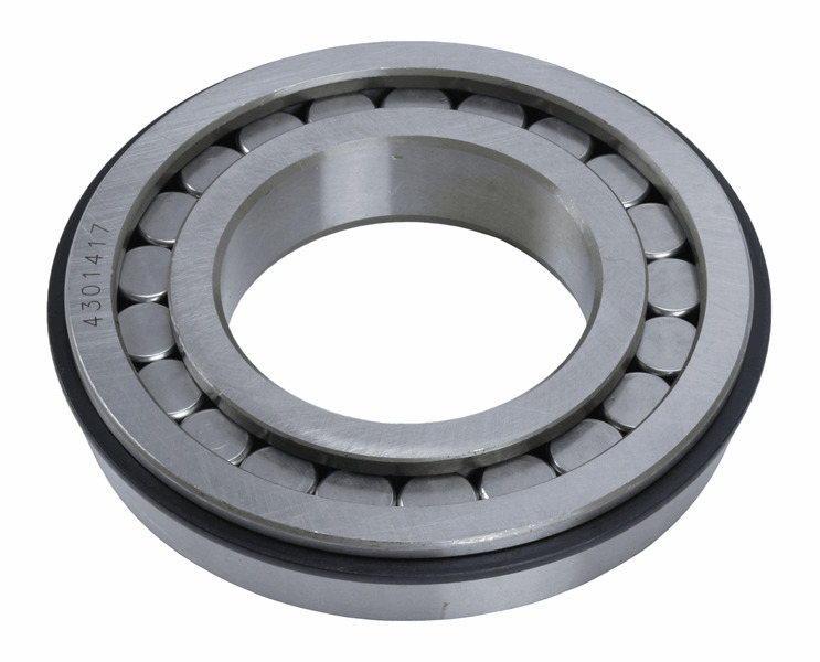 Cylindrical Bearing  S-11966   4301417