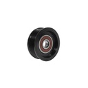Continental Elite Pulley or Dayco  816.49177