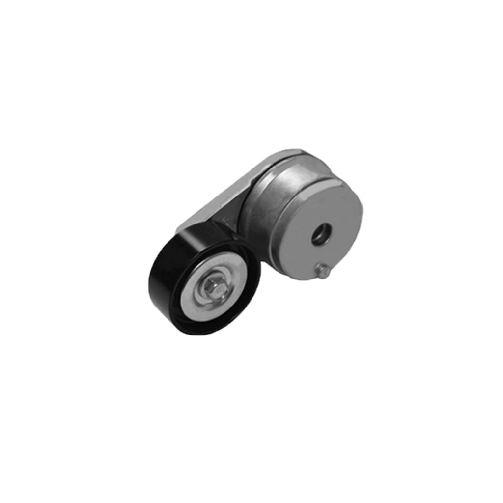 Continental Elite or Dayco Tensioner Assembly  816.49591