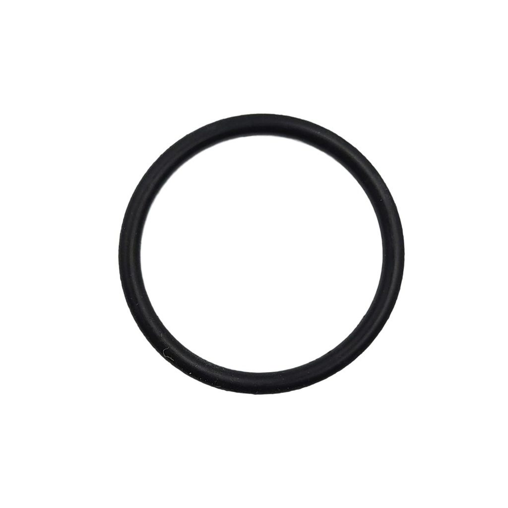 OEM PACCAR O-RING, 22X2  1982776PE
