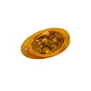 Freightliner  Turn Signal Lamp, LED S22615  A06-58770-000