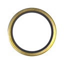 OEM CUMMINS THERMOSTAT SEAL CAT 186780