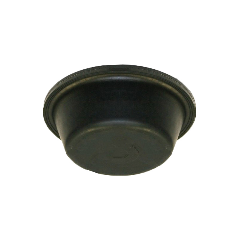 Diaphragm Type 16 Long Stroke  179.DT16L 300555 DP16L