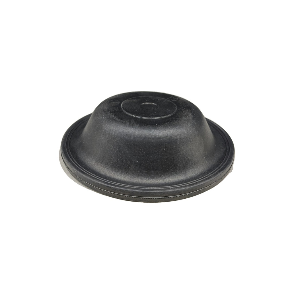 [1U-EFAB-HCA1] Diaphragm Type 20 Long Stroke 179.DT20L  300556