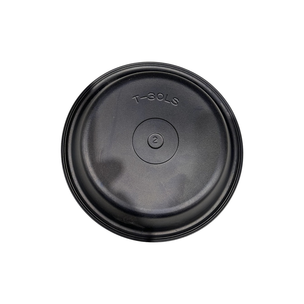 Diaphragm Type 30 Long Stroke  179.DT30L  3062007 801379 DP30l