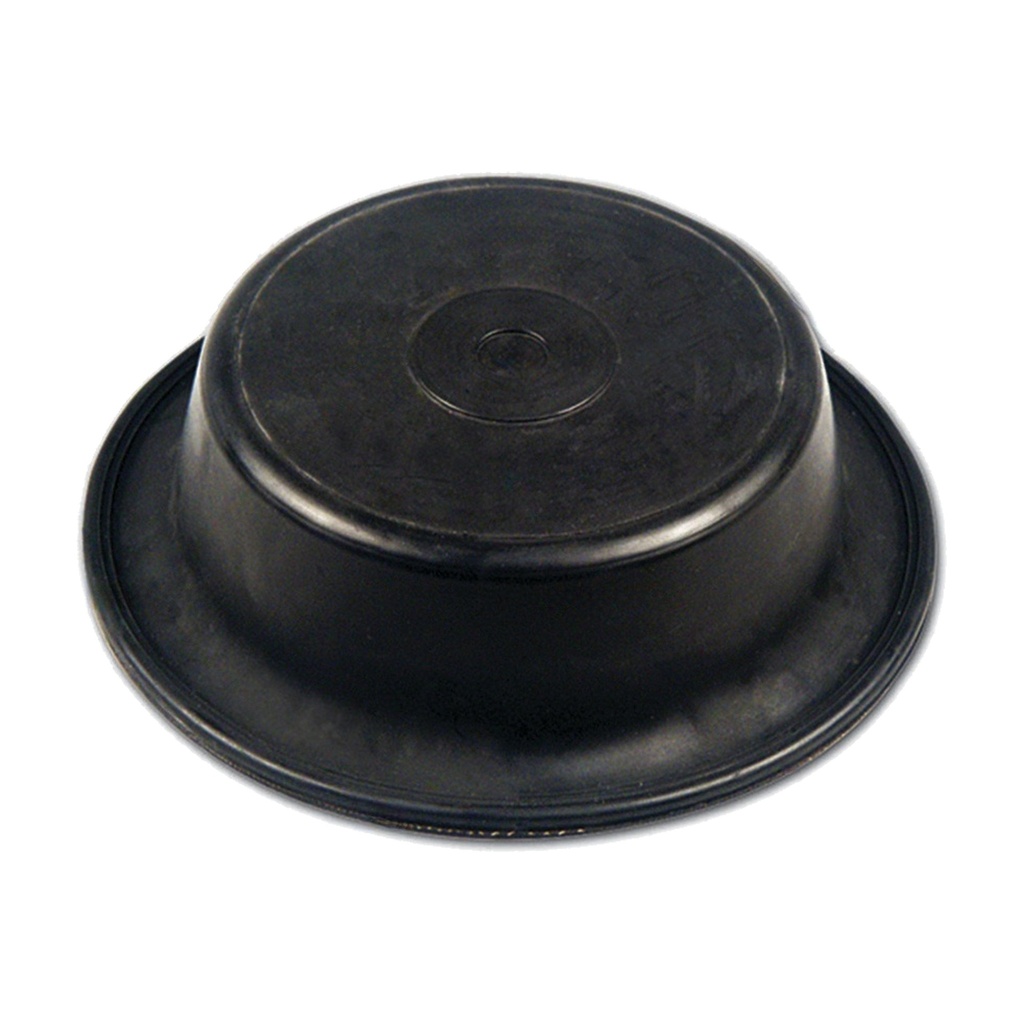 Diaphragm Type 30 Long Stroke  179.DT30L  3062007 801379 DP30l
