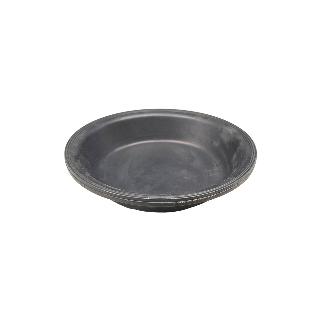 [FH-2Q6D-J8DG] Diaphragm Type 36  179.DT36 	KG5028	  E8895