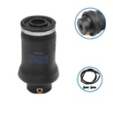 Air Spring Seat IHC  ABSZ70-125, 1S4-196