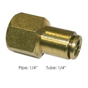 BRASS PLC FEMALE CONNECTOR 1/4 X 1/4IN  177.13B664B PL1366-4A