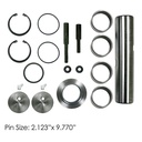 King Pin Kit LH Needle Bushing 502.682 460.543C  6073300419