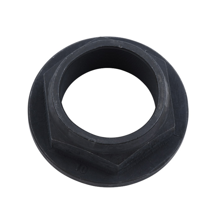 Metric Nut  SA973     1685-173-C