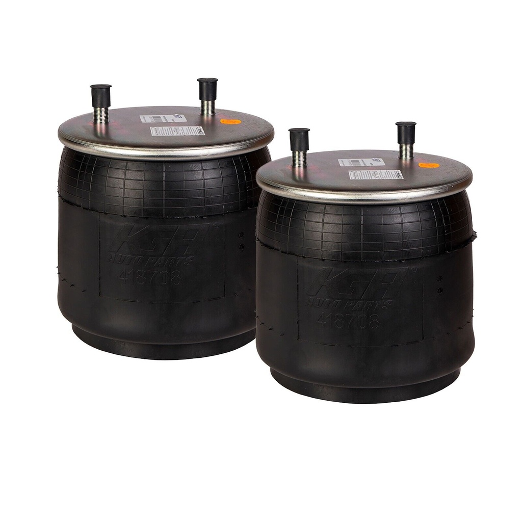 Air Spring Rolling Lobe 410.P8708 W01-358-8708 (Pack of 2)