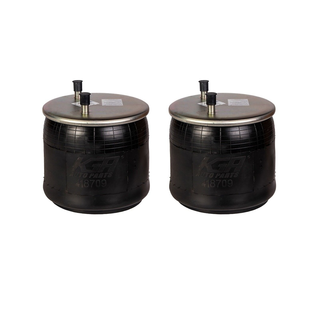 Air Spring Rolling Lobe 410.P8709 W01-358-8709 64645 (Pack of 2)