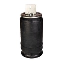 Air Spring Rolling Lobe 410.P9875 W01-358-1191 W01-358-9875 1R12-432