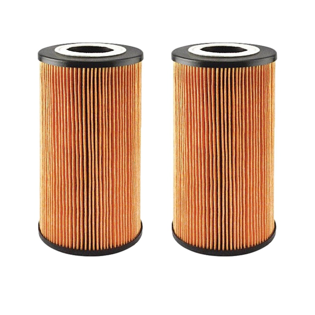 Engine Oil Filter Baldwin P40019 (Pack of 2)