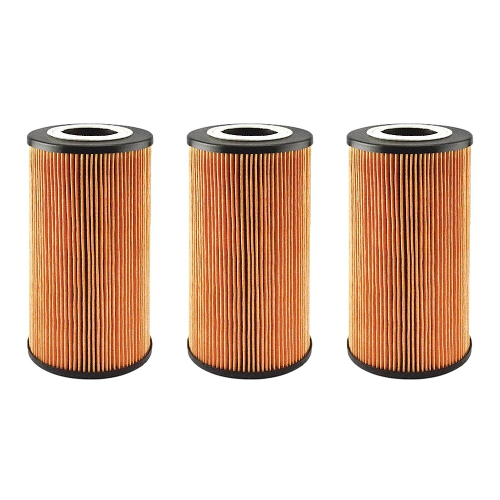 Engine Oil Filter Baldwin P40019 (Pack of 3)