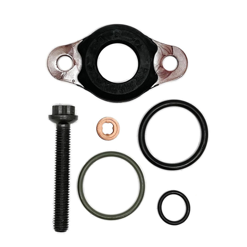 OEM DETROIT INJECTOR O-RING SET CASCADIA A4600700887