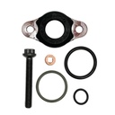 OEM DETROIT INJECTOR O-RING SET CASCADIA A4600700887
