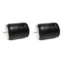 Air Spring Rolling Lobe 418.P8944 W01-358-9015 161167 1R12-366 Pack of 2