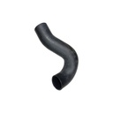 Coolant Hose Lower Radiator Freightliner 561.46968 0521968000 05-21968-000