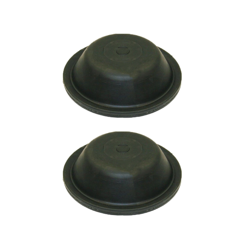 Diaphragm Type 9 Long Stroke 179.DT9L (Pack of 2)