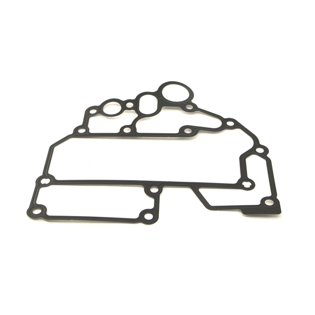 OEM INTERNATIONAL GASKET, OIL MODULE 3006150C1
