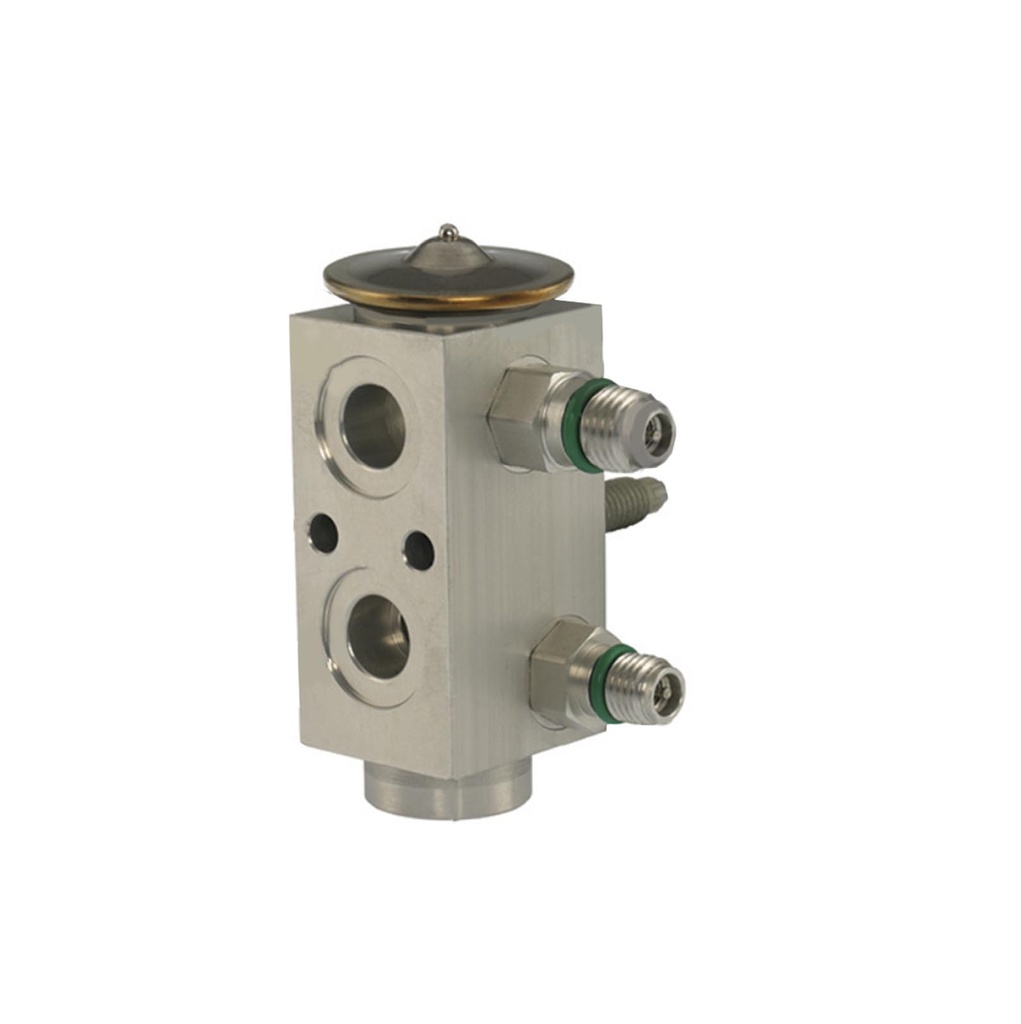 Expansion Valve 830.42039 1000534258BSM 121406A 16106