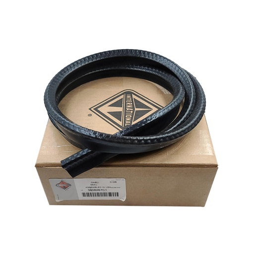 OEM INTERNATIONAL SEAL WINDOW INTER 3808267C1