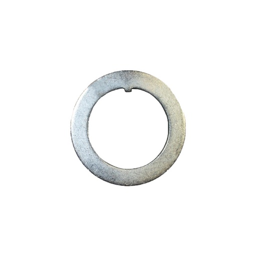Lock Washer  209.2316  R001561 E1561