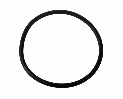 Peterbilt Fuel Cap O-Ring  S-21251  490-89