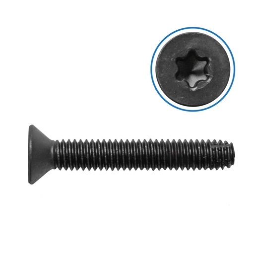 Trailer Floor Screw 5/16in X 2in 100 pk    FS516200
