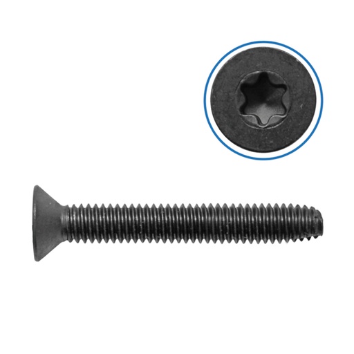 Trailer Floor Screw 5/16inX2-1/4in 100pk   FS516214