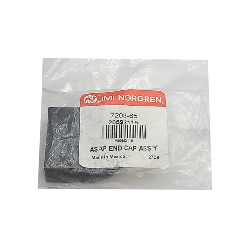OEM VOLVO CAP 	20592119