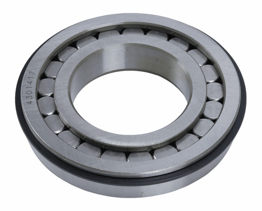 Cylindrical Bearing  S-11966   4301417