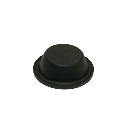 Diaphragm Type 12 Long Stroke  179.DT12L