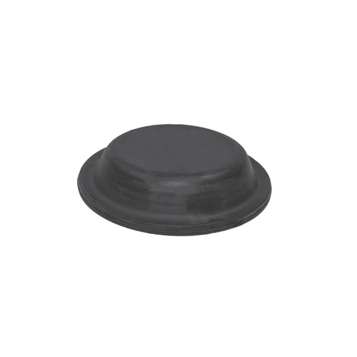Diaphragm Type 20 KG5025 179.DT20  M4031540