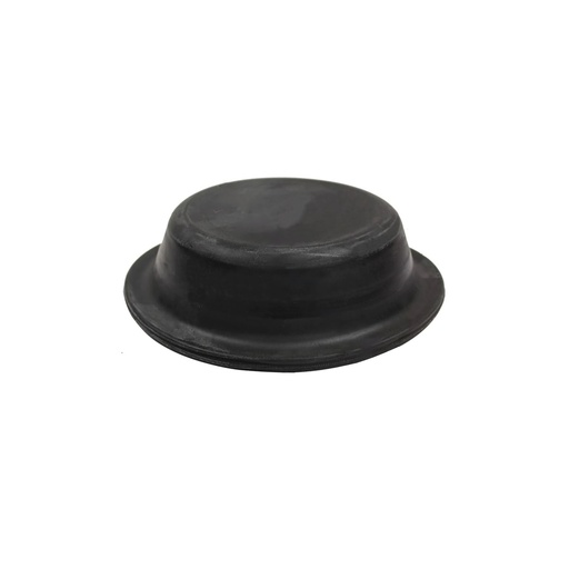 Diaphragm Type 24 Long Stroke 179.DT24L  	E8893