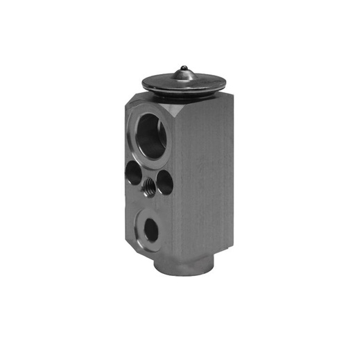 Expansion Valve 830.42009  BOA4961