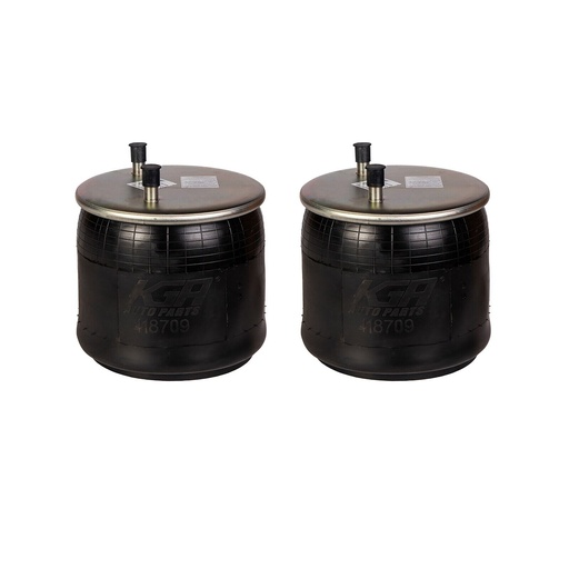 Air Spring Rolling Lobe 410.P8709 W01-358-8709 64645 (Pack of 2)