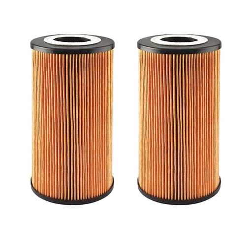 Engine Oil Filter Baldwin P40019 (Pack of 2)
