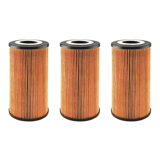 Engine Oil Filter Baldwin P40019 (Pack of 3)