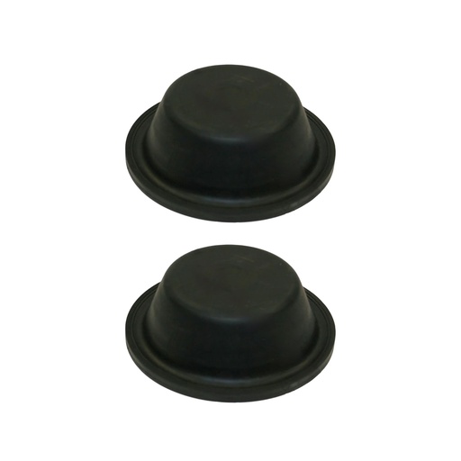 Diaphragm Type 12 Long Stroke 179.DT12L (Pack of 2)